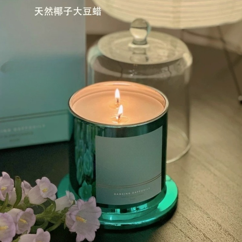 대형 선물 상자 코코넛 소이 향초 세트 아로마테라피 홈 - Home Fragrance Non Toxic 리뷰 및 가격